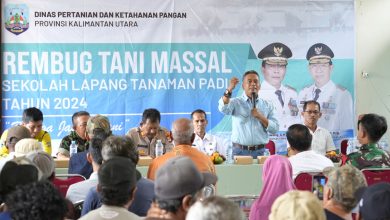 SEKOLAH LAPANG : Kepala DPKP Kaltara, Heri Rudiyoni membuka launching Sekolah Lapang Tanaman Padi Tahun 2024 di Desa Karang Agung, Rabu (26/6).
